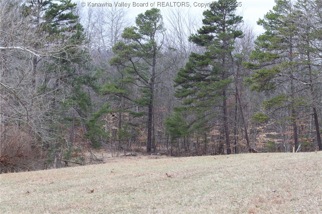 214 Spruce Run Road Ripley, WV 25271 - Photo 12 of 45 Gallery Image 12