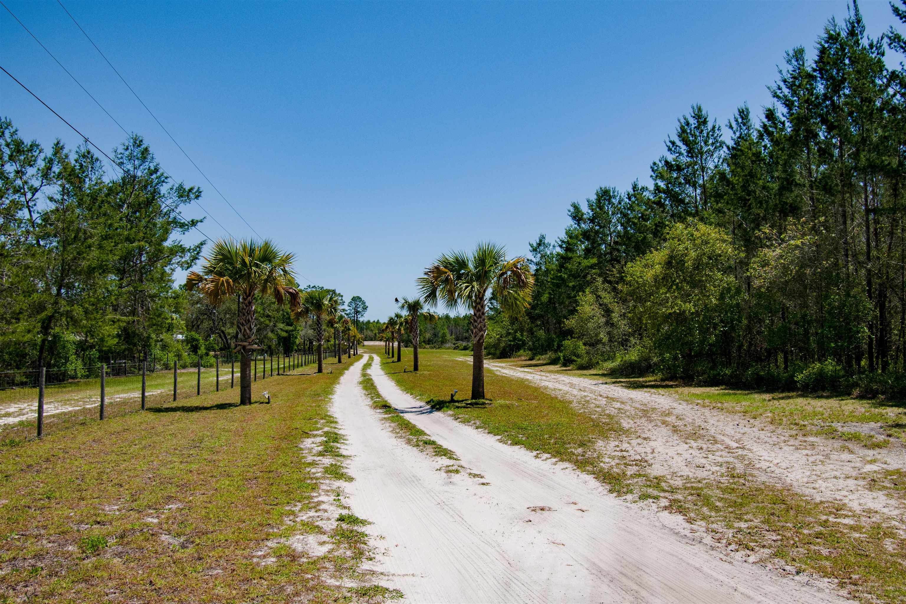 22754 Salem Tower Road, Unit 15 Steinhatchee, FL 32359 - Photo 5 of 35