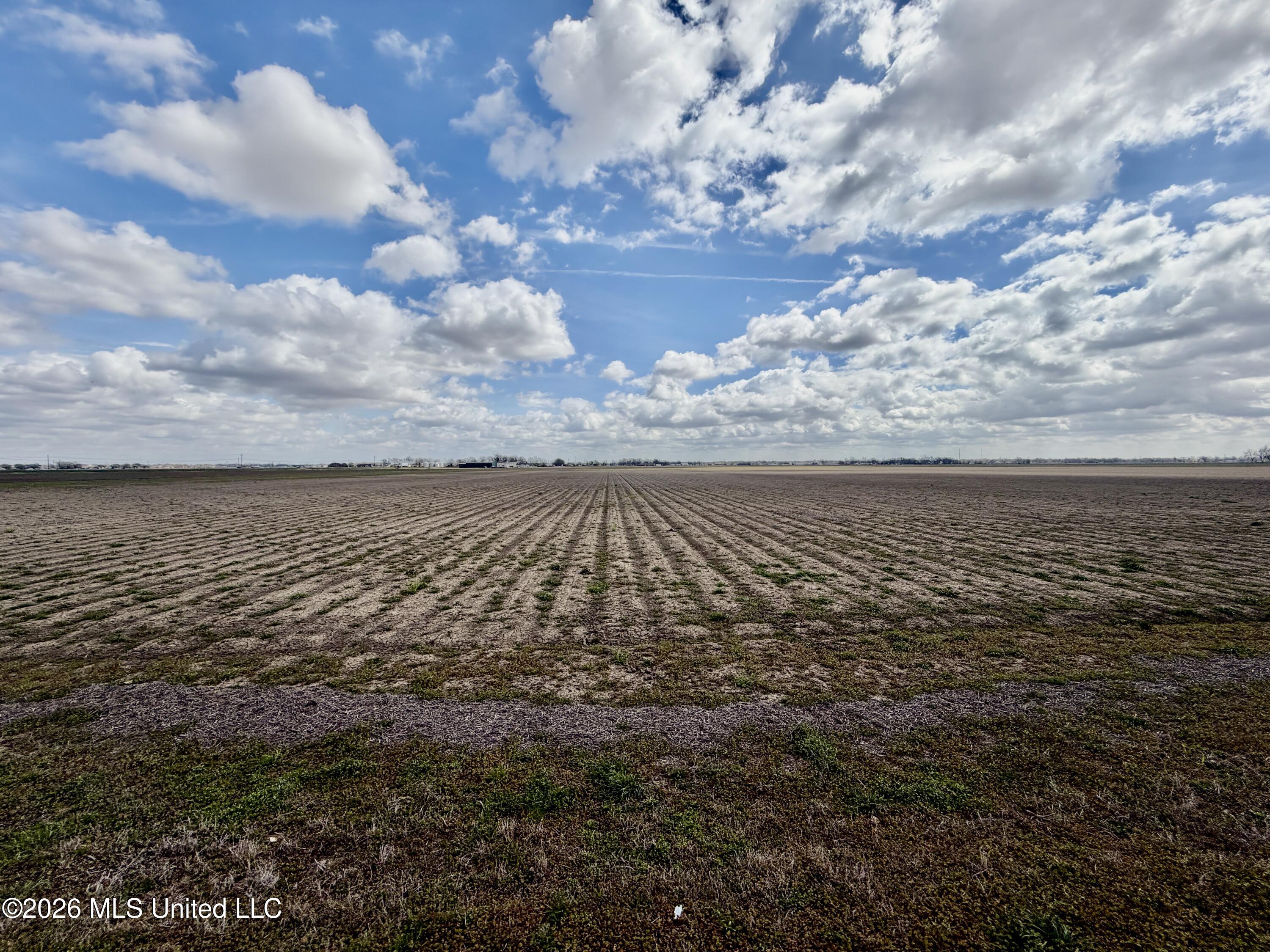 Cleveland Crossing Road Cleveland, MS 38732 - Photo 11 of 12 IMG_2362