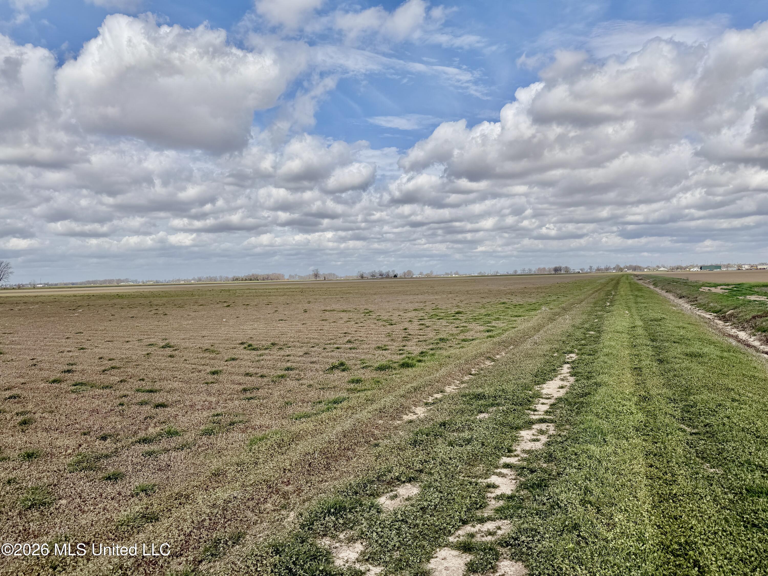 Cleveland Crossing Road Cleveland, MS 38732 - Photo 5 of 12 IMG_2356