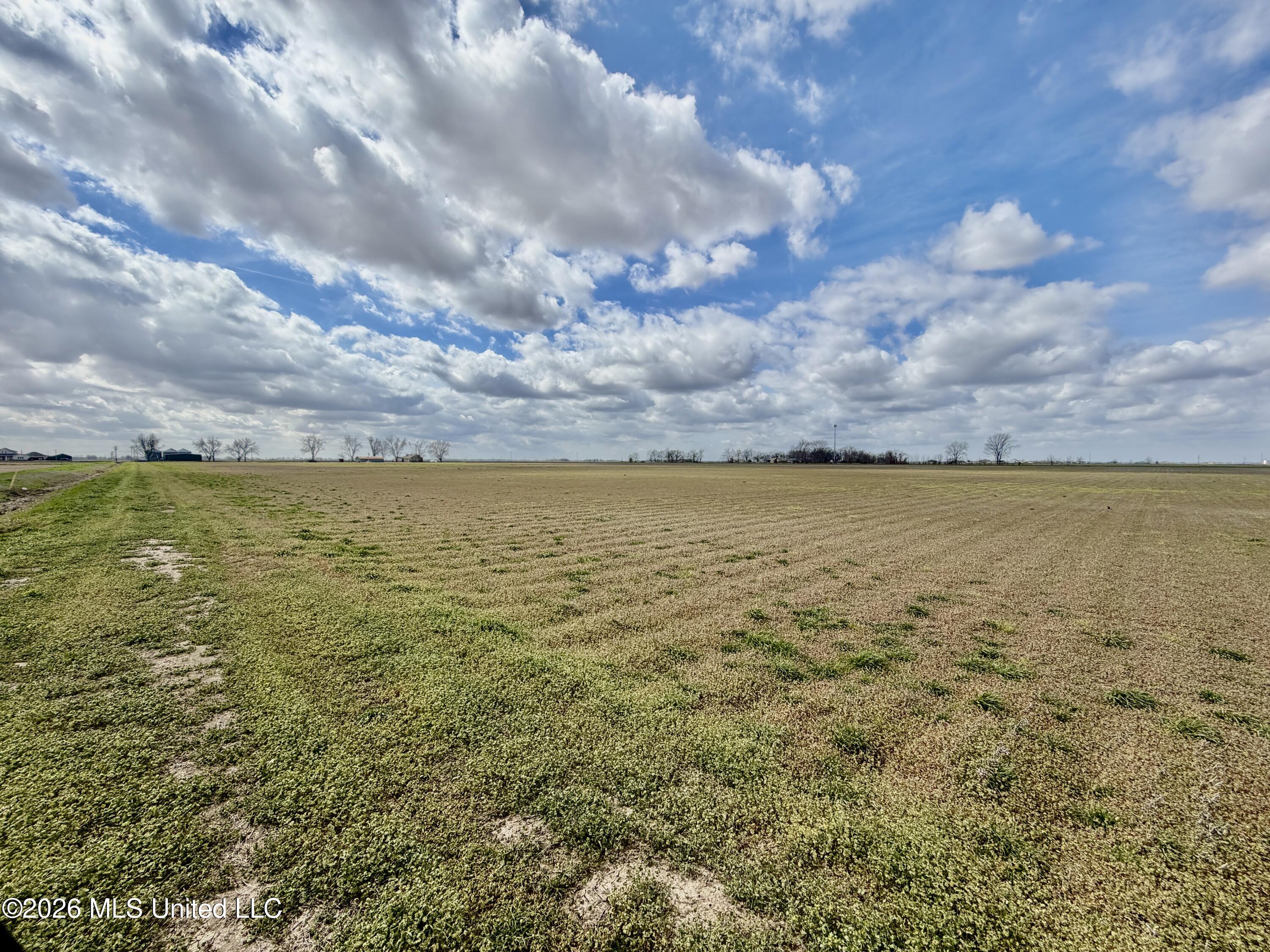 Cleveland Crossing Road Cleveland, MS 38732 - Photo 6 of 12 IMG_2357