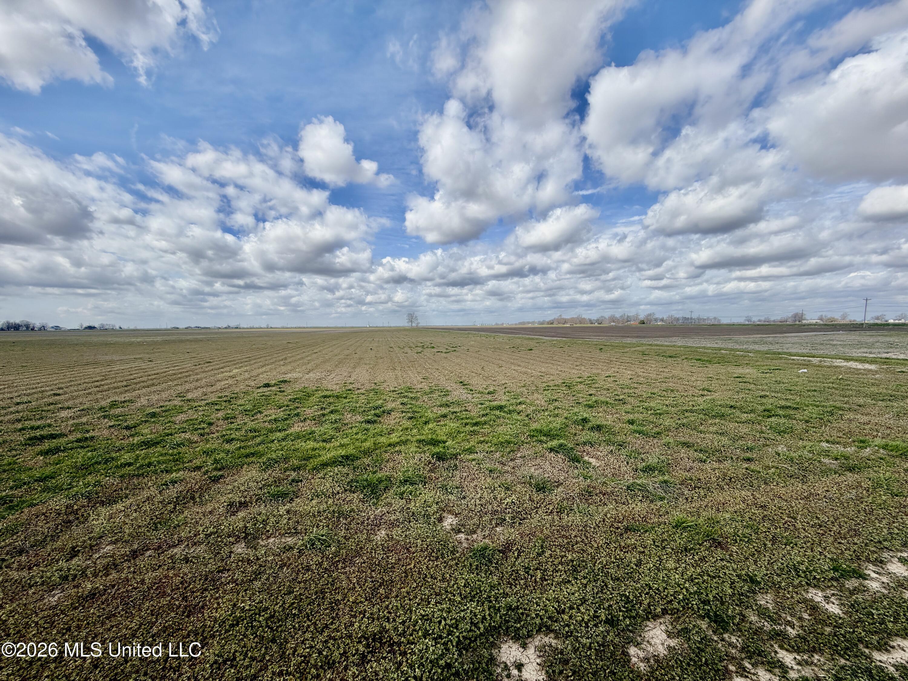 Cleveland Crossing Road Cleveland, MS 38732 - Photo 7 of 12 IMG_2358