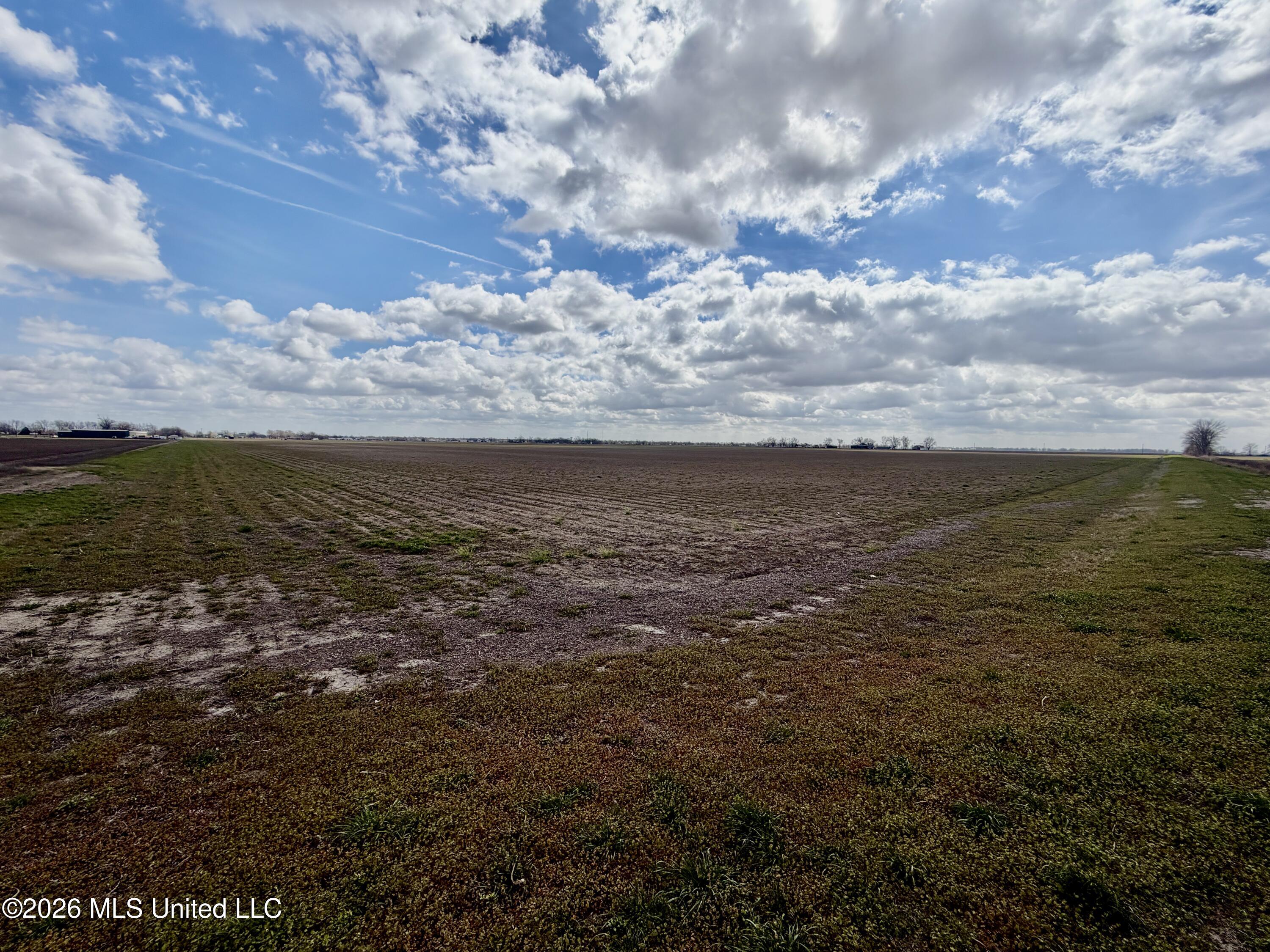 Cleveland Crossing Road Cleveland, MS 38732 - Photo 9 of 12 IMG_2360