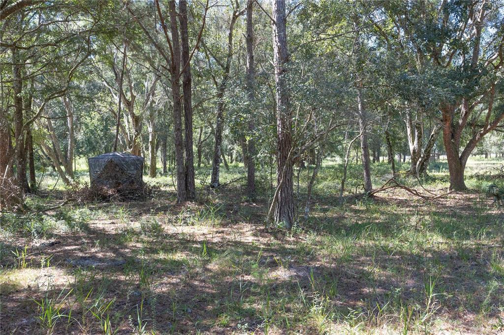 673 Webster Webster, FL 33597 - Photo 20 of 69 Gallery Image 20