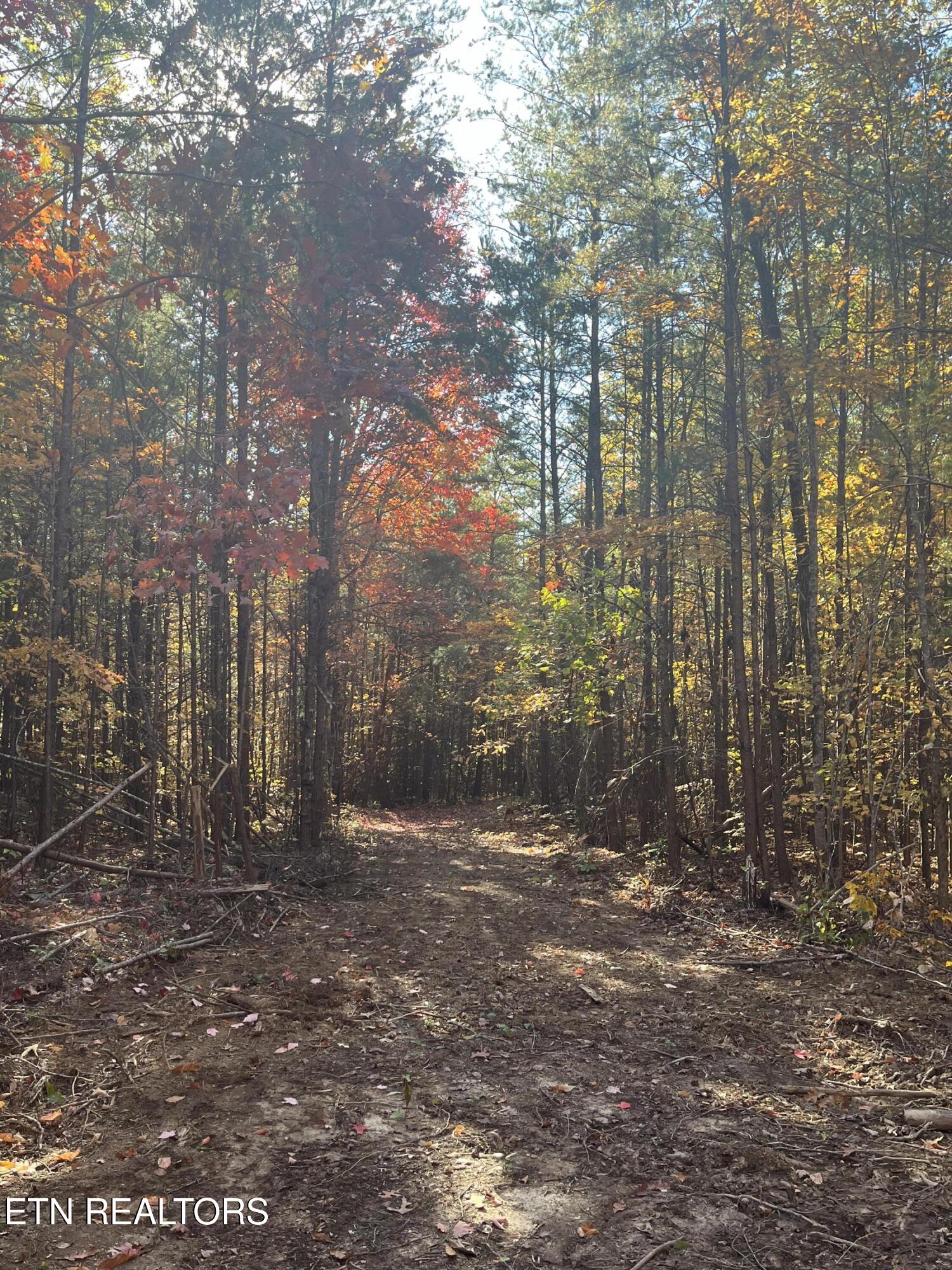 108 Cherokee Path Tellico Plains, TN 37385 - Photo 20 of 56 IMG_1643