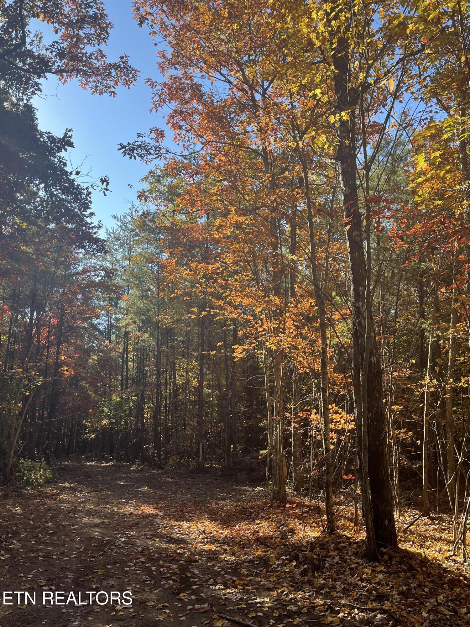 108 Cherokee Path Tellico Plains, TN 37385 - Photo 28 of 56 IMG_1639
