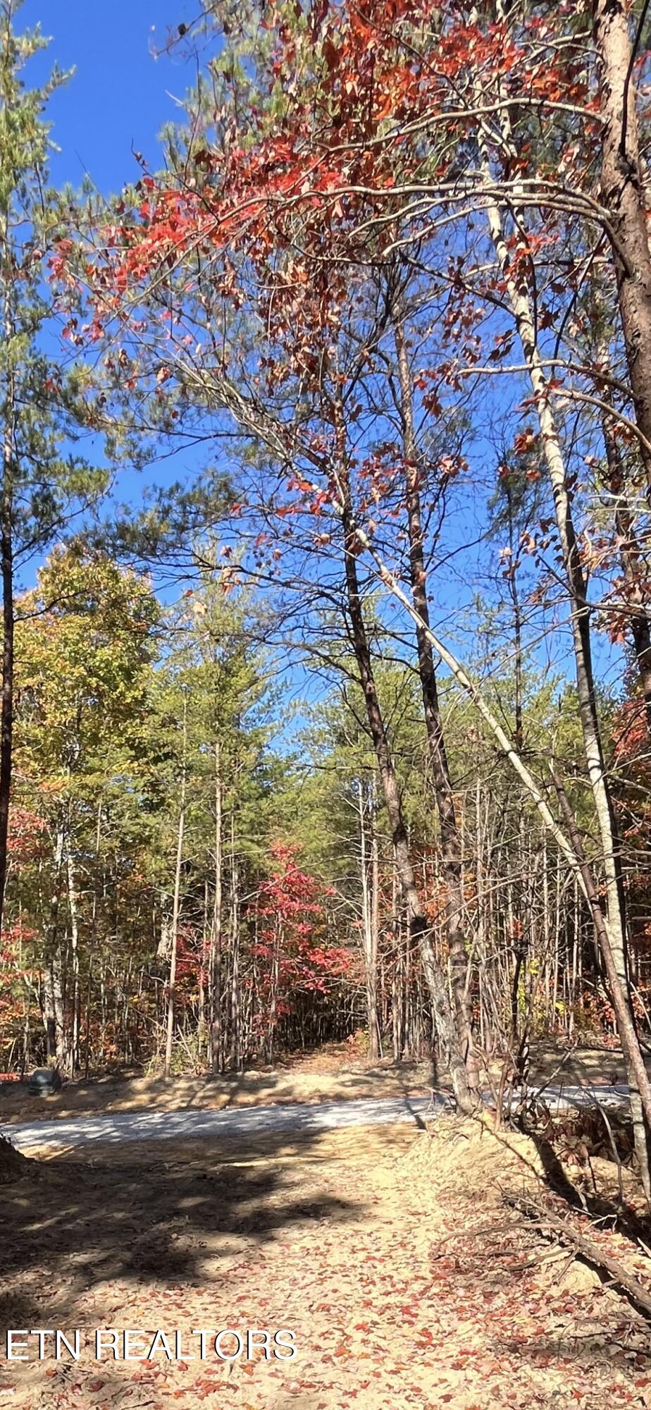 108 Cherokee Path Tellico Plains, TN 37385 - Photo 39 of 56 IMG_1695