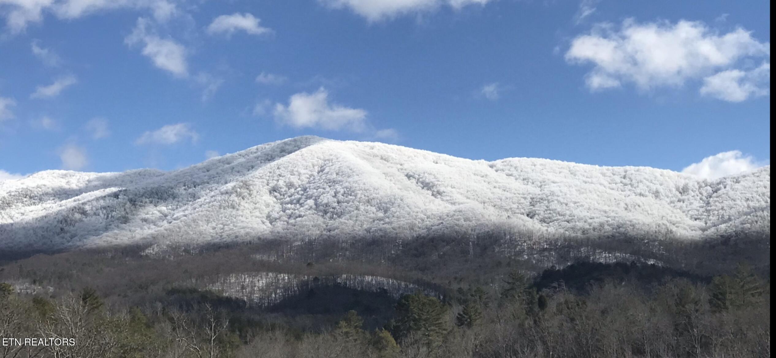 108 Cherokee Path Tellico Plains, TN 37385 - Photo 52 of 56 IMG_1705