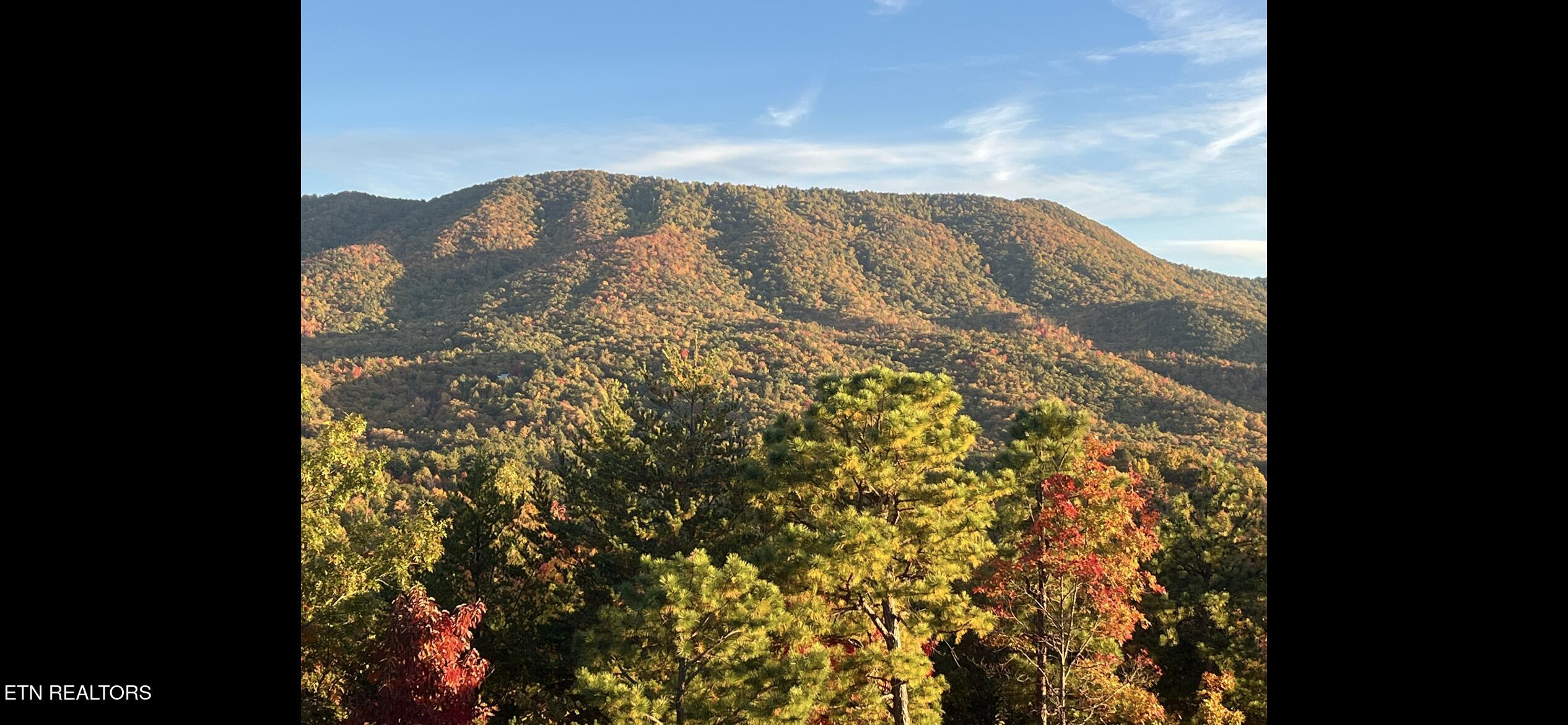 108 Cherokee Path Tellico Plains, TN 37385 - Photo 54 of 56 IMG_1706