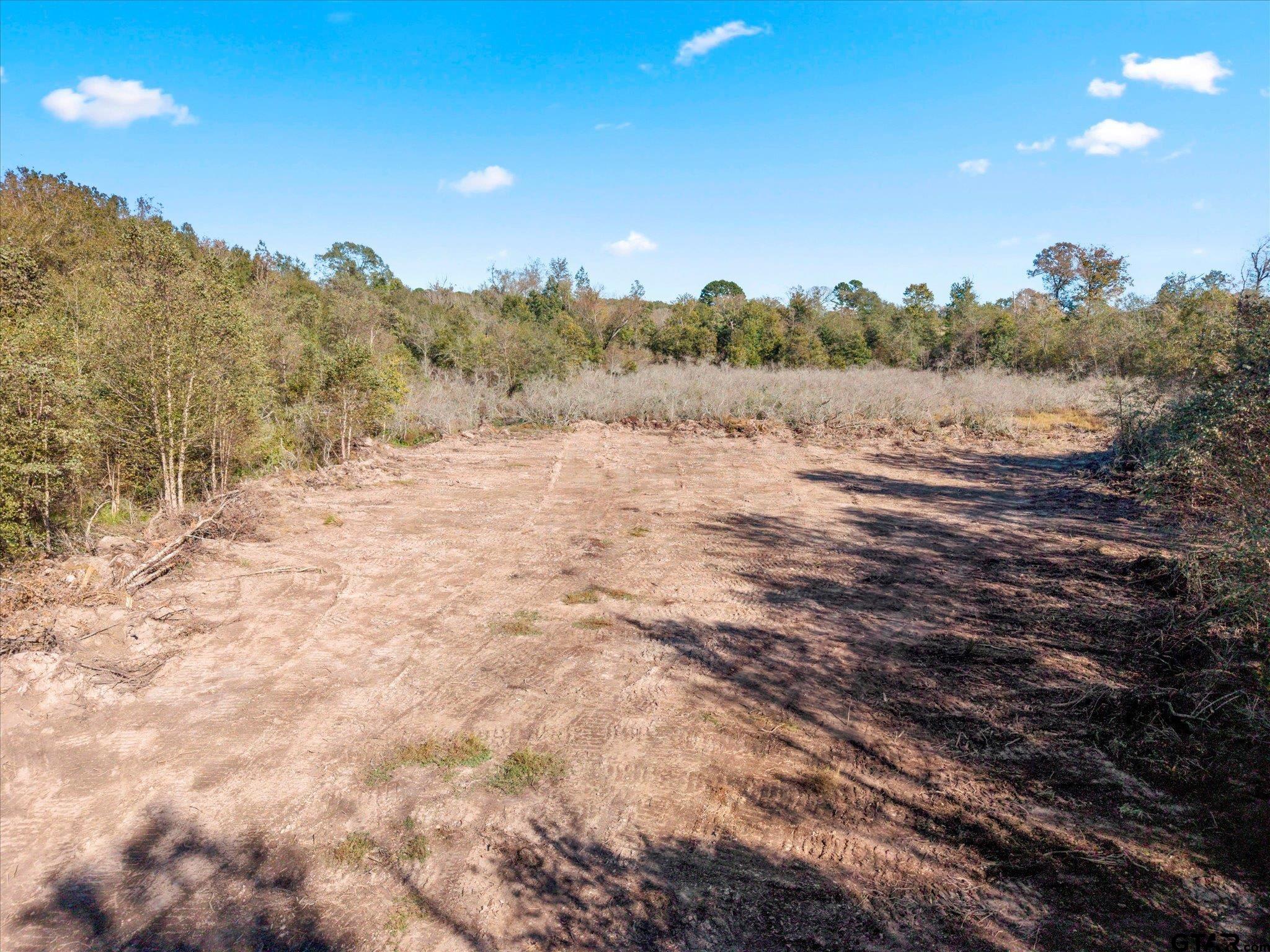 Tbd Woodchuck Road Leesburg, TX 75451 - Photo 16 of 34 Gallery Image 16
