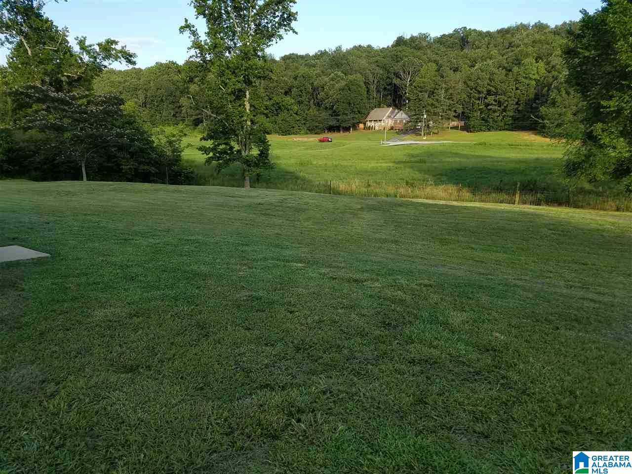 6165 Walnut Grove Road Altoona, AL 35952 - Photo 24 of 25