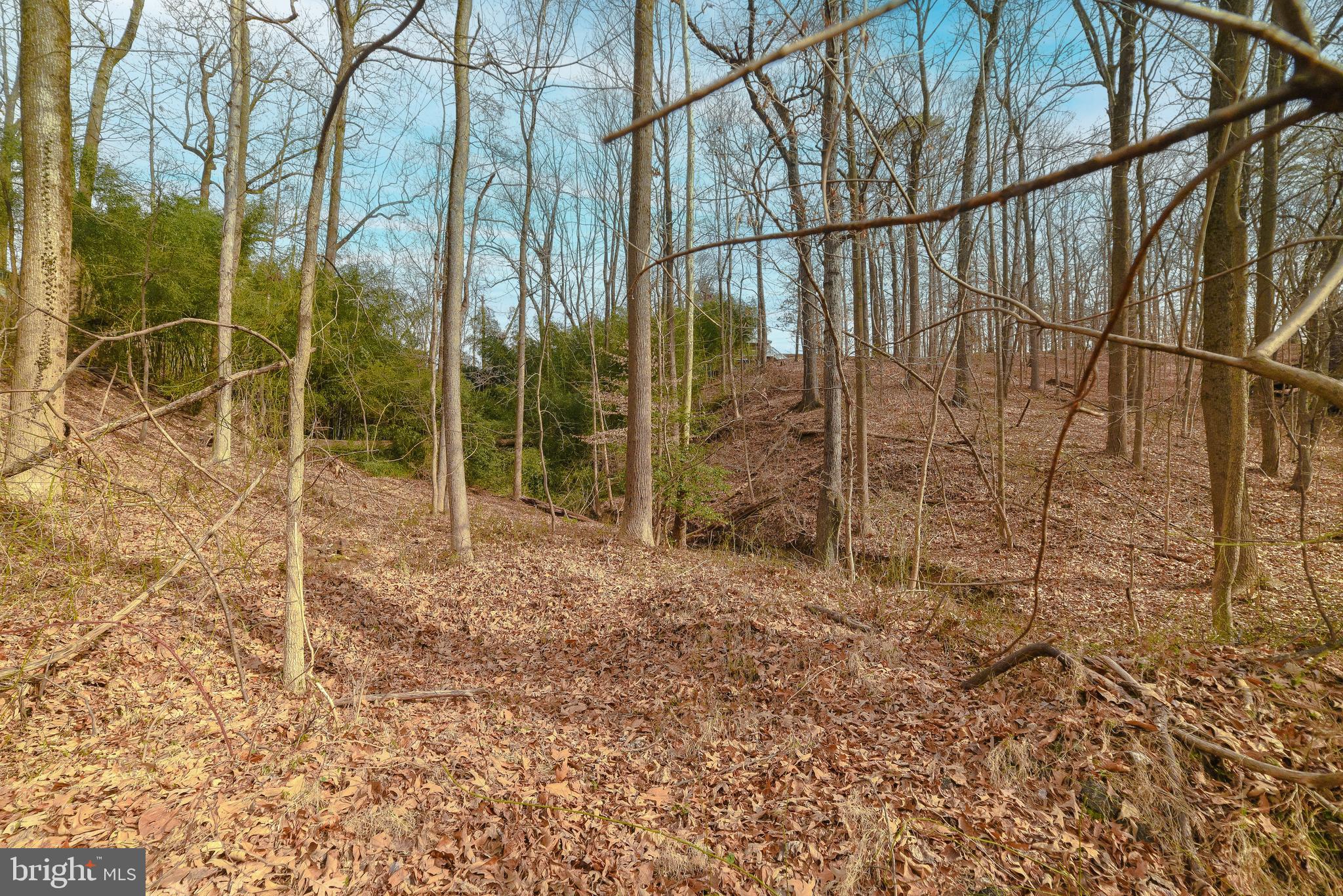 2702 Cool Spring Road Adelphi, MD 20783 - Photo 6 of 12