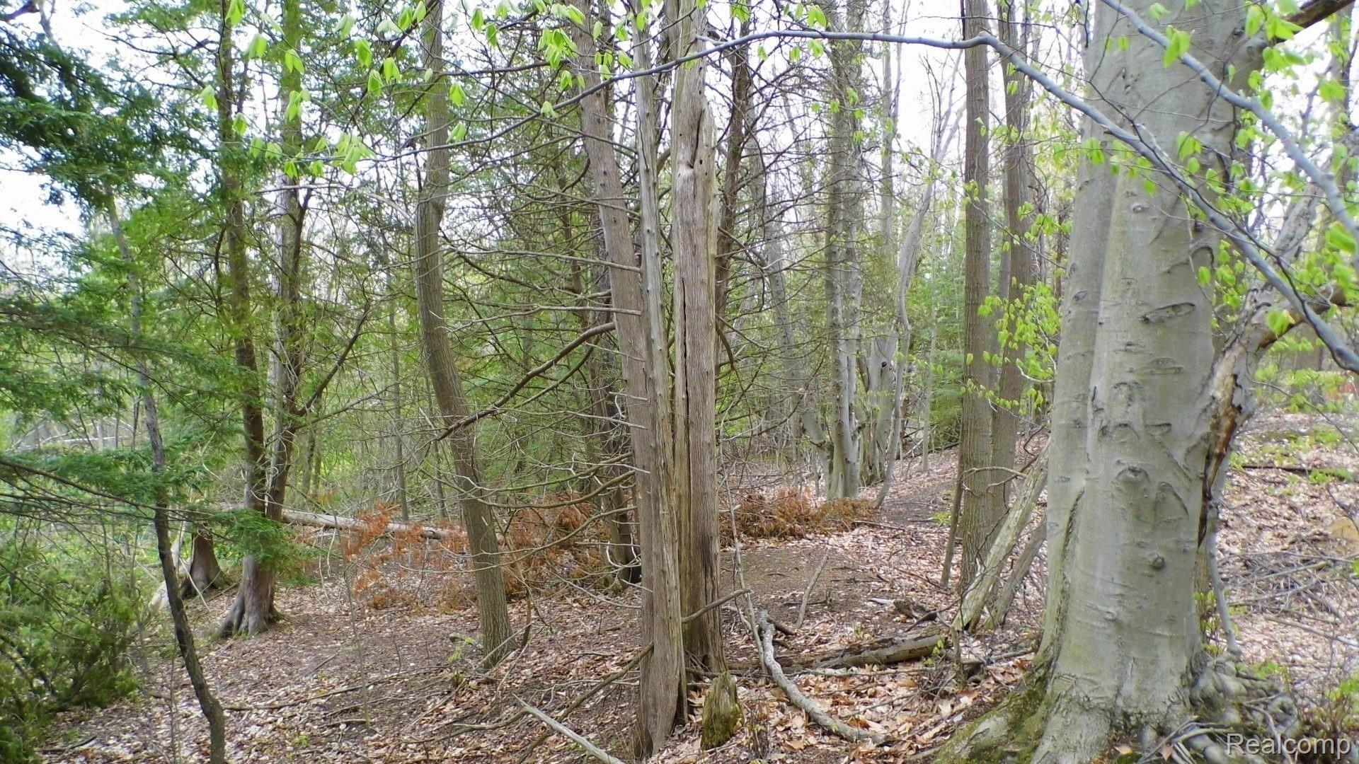 614 East Brown Road Mayville, MI 48744 - Photo 13 of 13 SANY0036.JPG