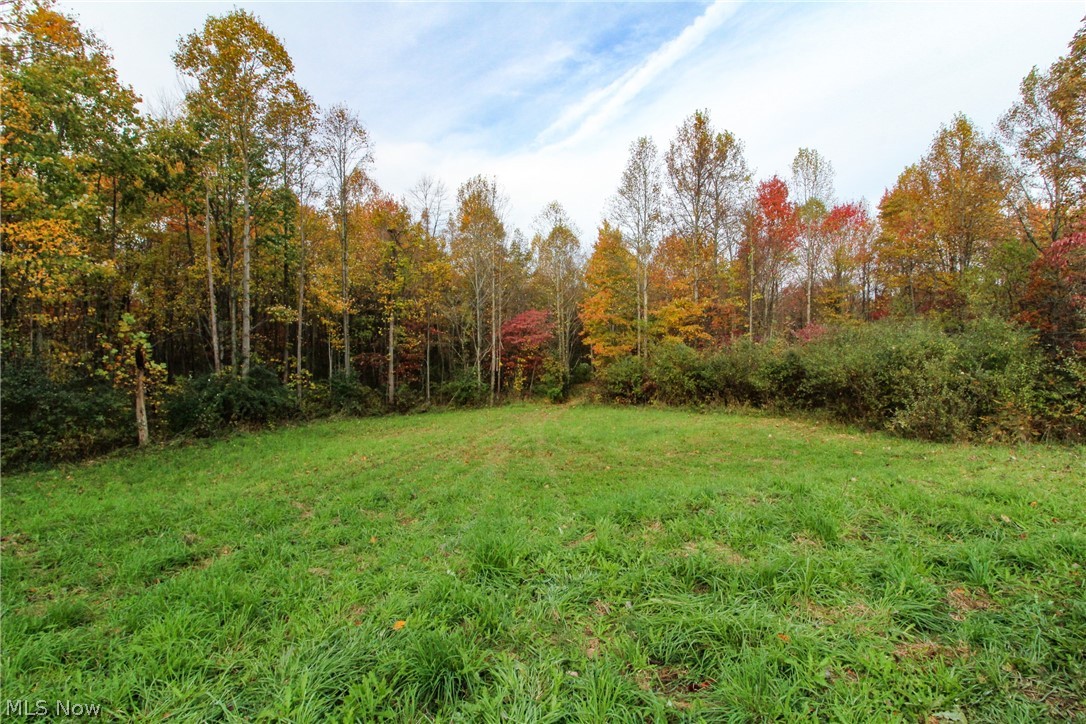 Sleepy Elm Road Southwest Newcomerstown, OH 43832 - Photo 1 of 20 Gallery Image 1