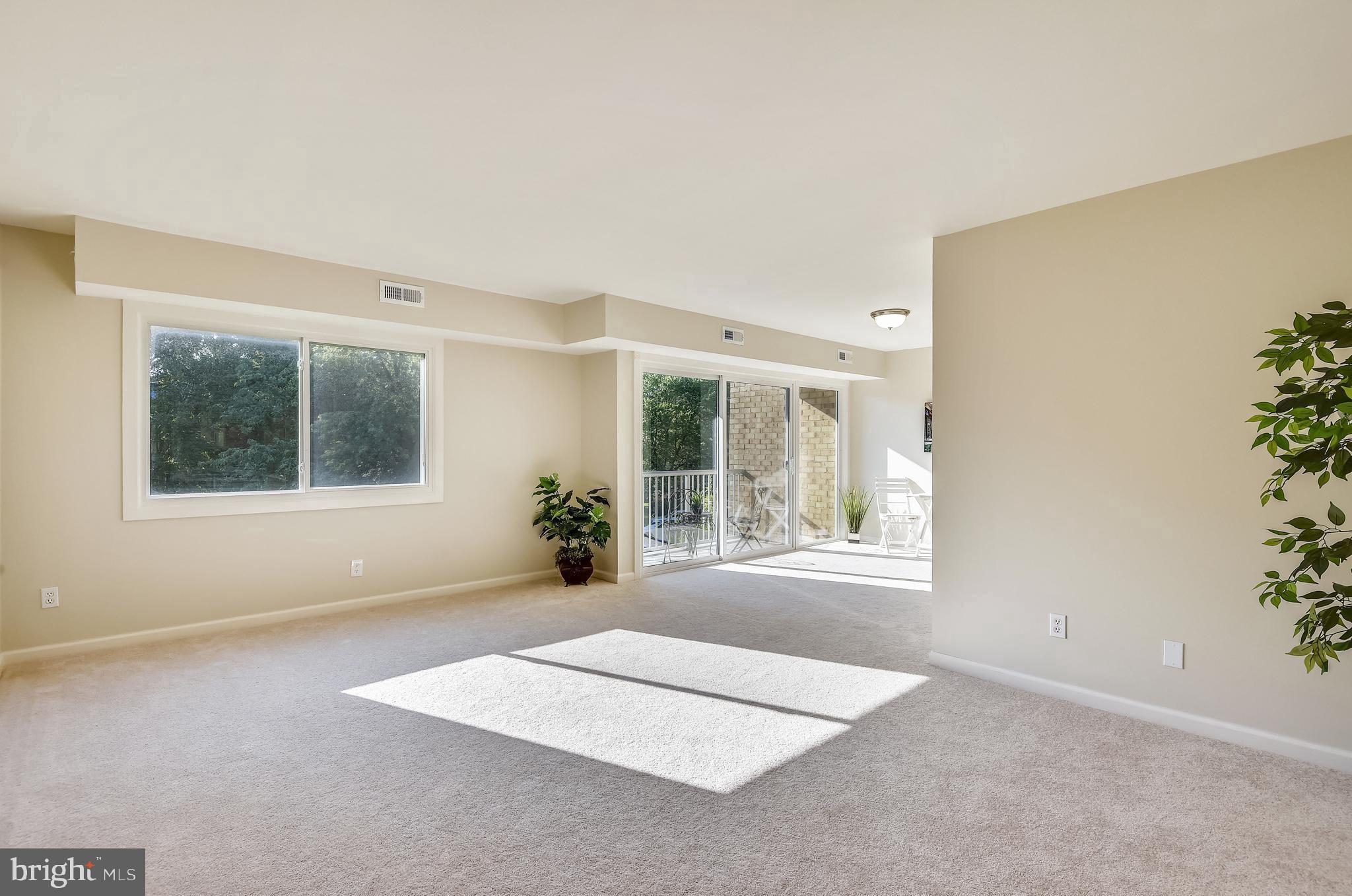 2905 Charing Cross Road, Unit 8 Falls Church, VA 22042 - Photo 3 of 46 New Carpet and Paint Throughout