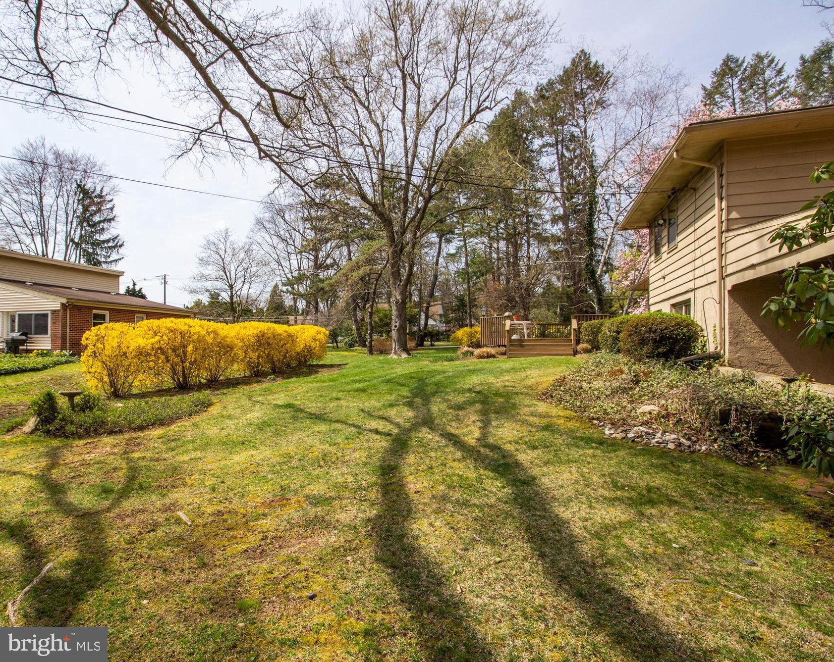 1272 George Road Jenkintown, PA 19046 - Photo 36 of 43 Rear yard