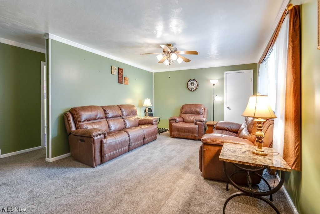43 Beech Street Rittman, OH 44270 - Photo 2 of 22 Large living room is light and bright.
