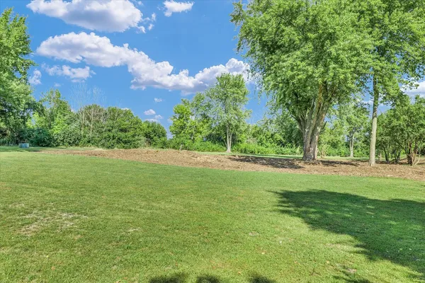 a view of a yard with a tree