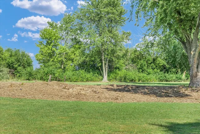 a view of a yard with a tree