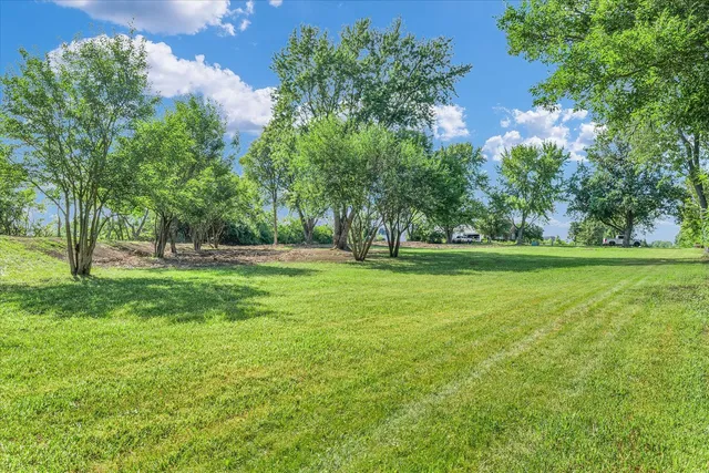 a view of outdoor space with trees all around