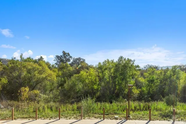 a view of a yard with palm trees