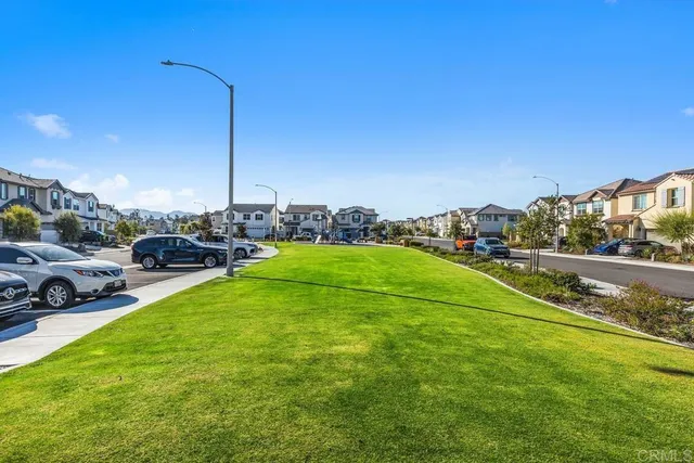 a view of a park with large trees