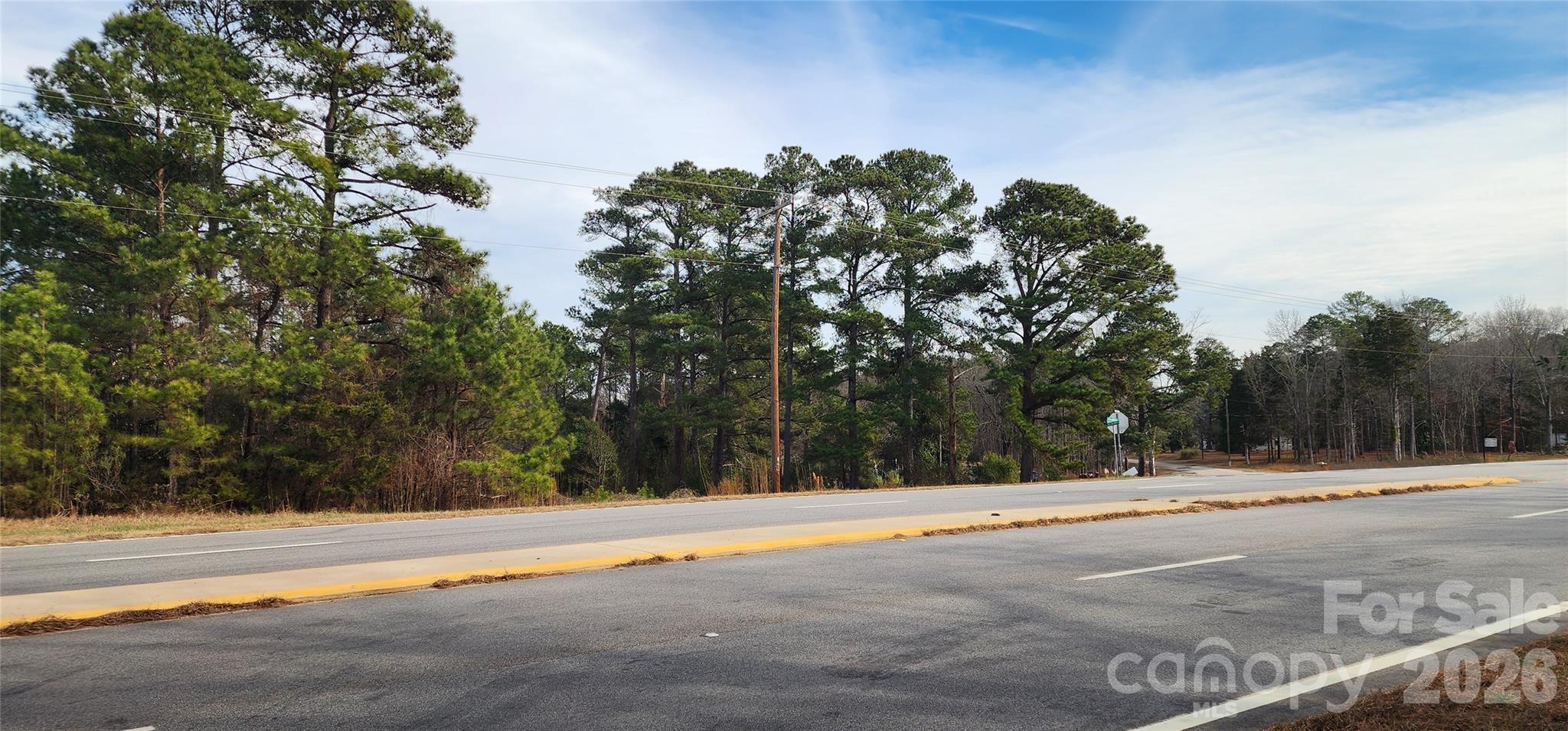 1413 Old Columbia Road Chester, SC 29706 - Photo 2 of 48