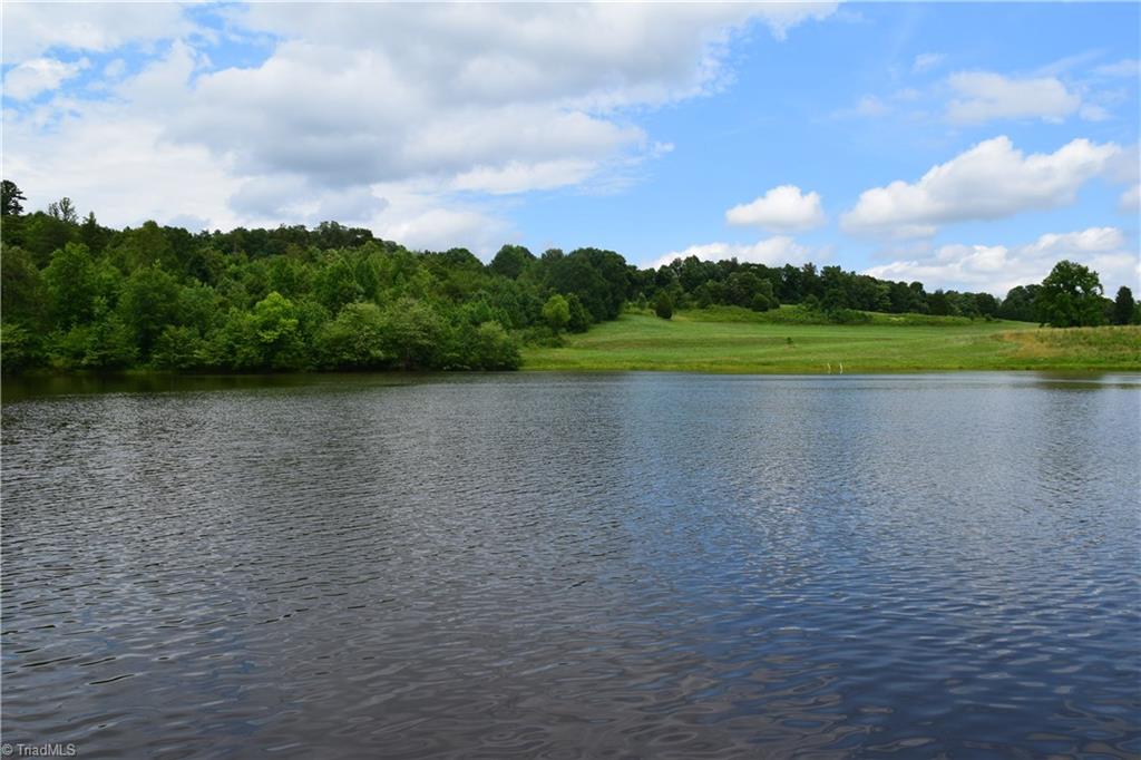 1275 New Moon Road Germanton, NC 27019 - Photo 25 of 29