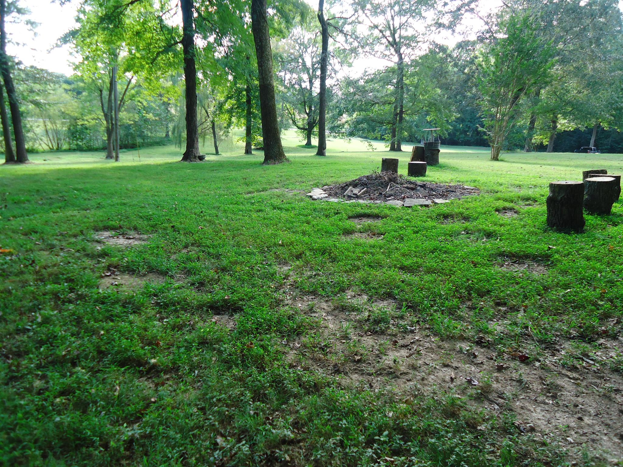 4481 Washington Road Greenbrier, TN 37073 - Photo 28 of 30 a view of a backyard with tree s