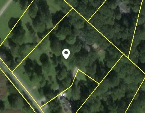 4481 Washington Road Greenbrier, TN 37073 - Photo 29 of 30