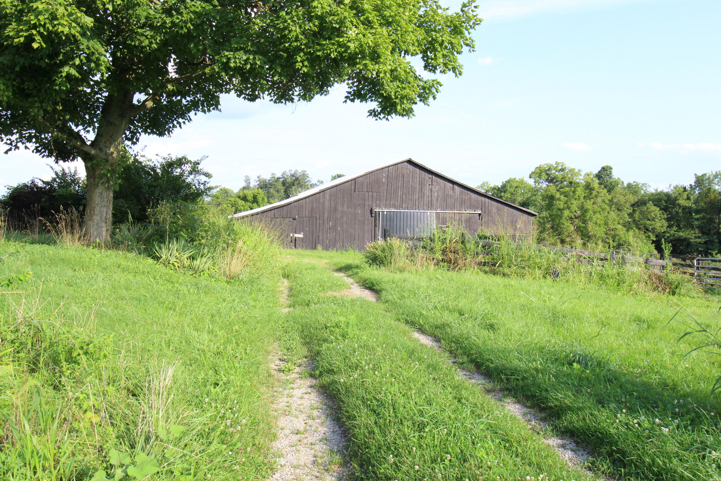 4410 McCormick Road Mount Sterling, KY 40353 - Photo 13 of 46 IMG_1672