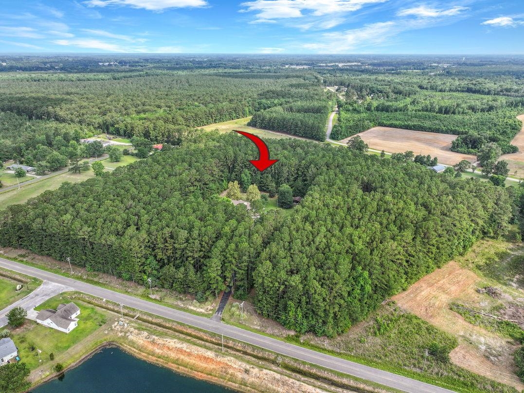4272 Old Tram Road Conway, SC 29527 - Photo 46 of 47