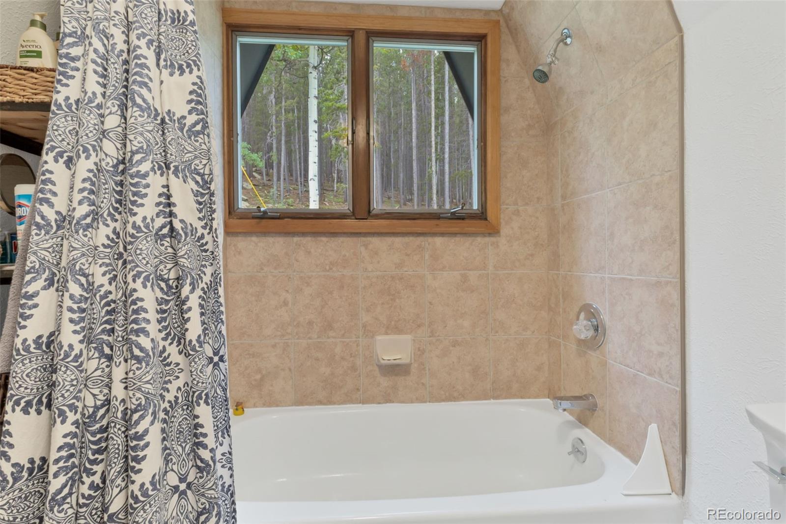 509 Paiute Road Evergreen, CO 80439 - Photo 24 of 47