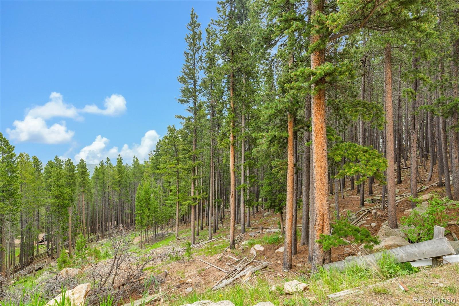 509 Paiute Road Evergreen, CO 80439 - Photo 42 of 47