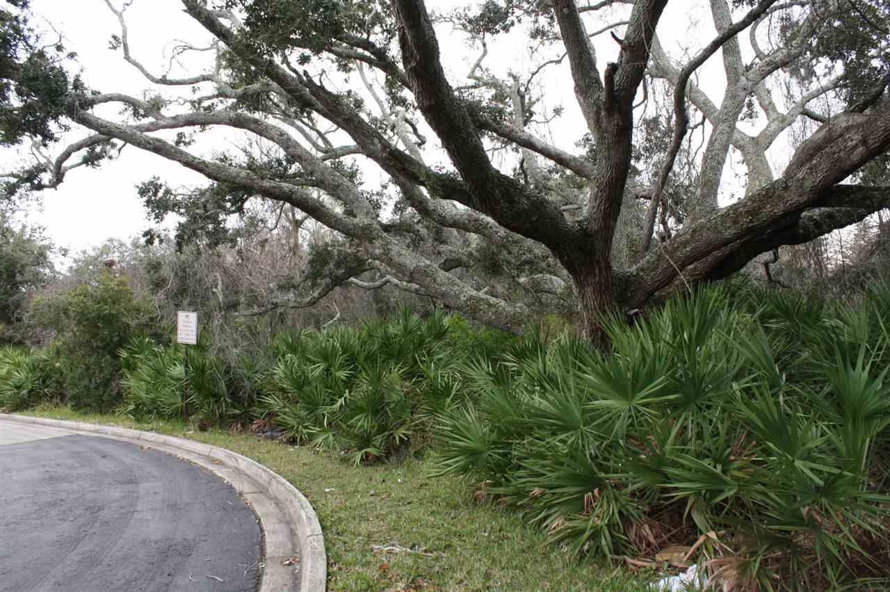 a view of a backyard of the house