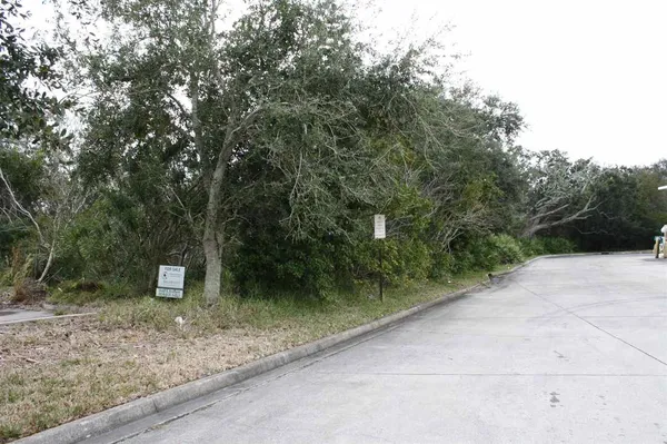 a view of a road with a trees