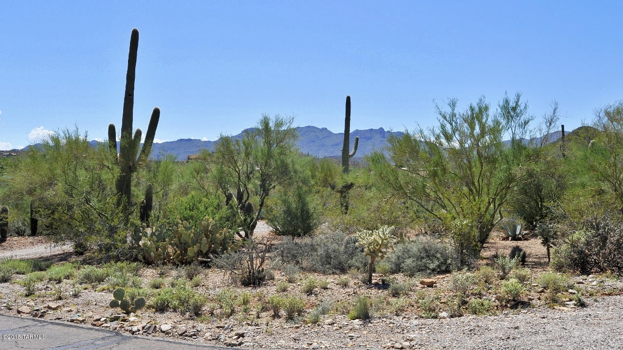 4721 North Gerhart Road Tucson, AZ 85745 - Photo 38 of 42 Gallery Image 38