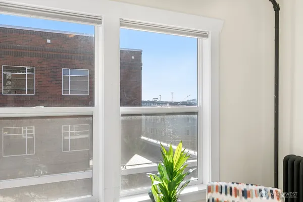 a close view of kitchen with a potted plant on the wall