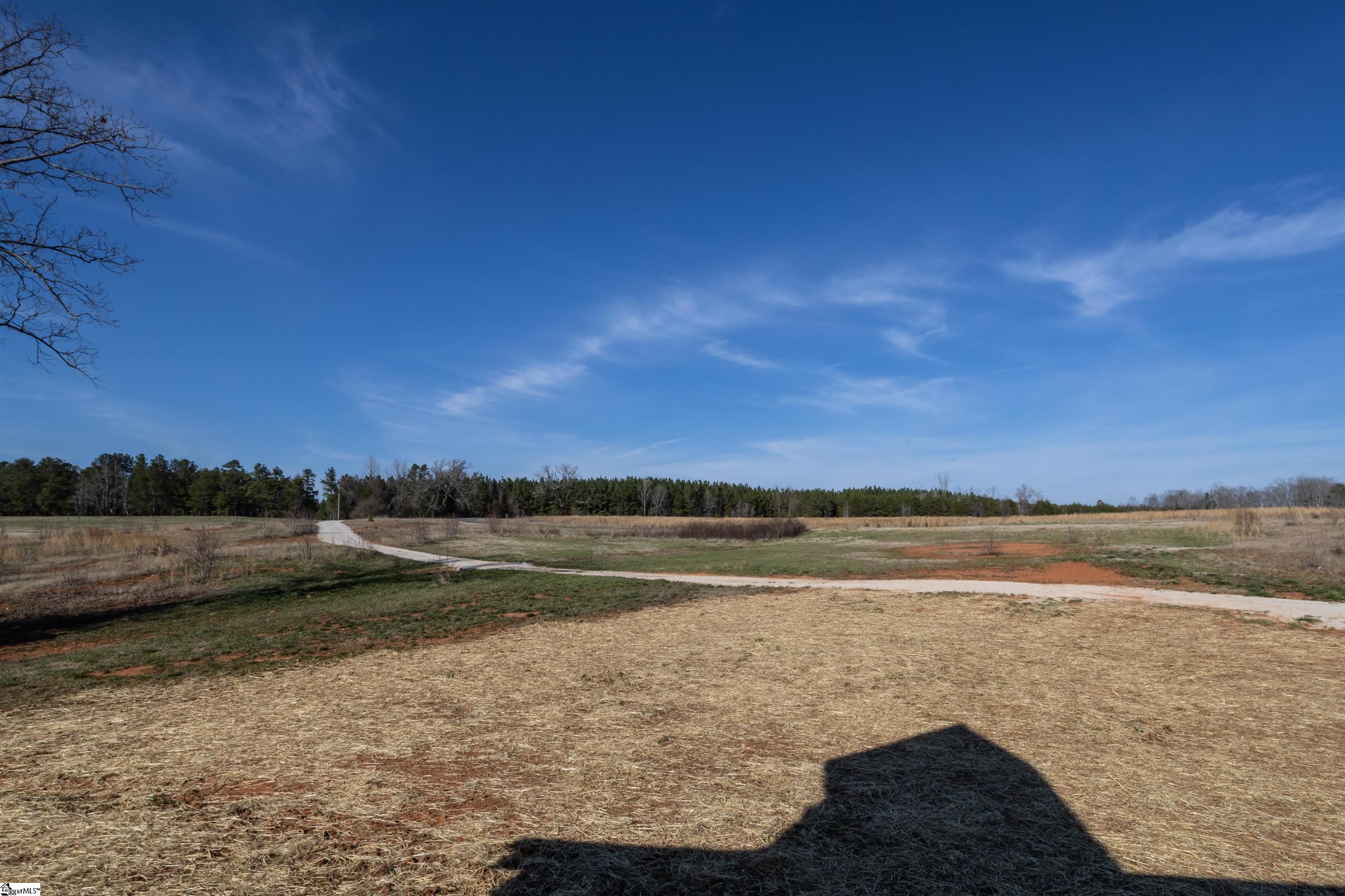 845 Riddle Town Road Gray Court, SC 29645 - Photo 3 of 30 Gallery Image 3