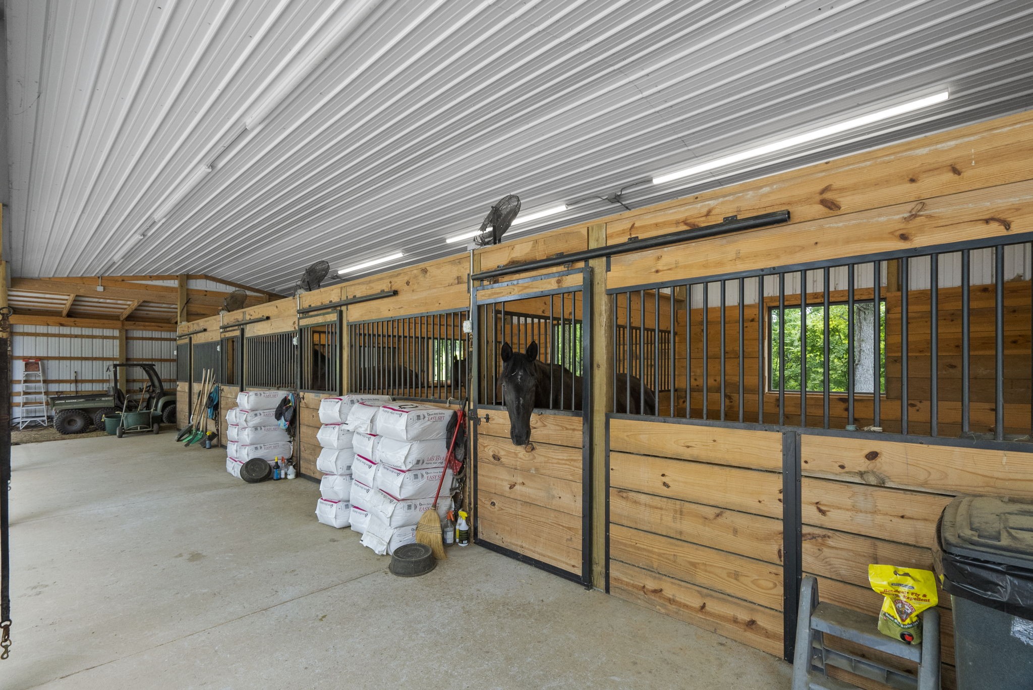 6621 Bethlehem Road Springfield, TN 37172 - Photo 54 of 66