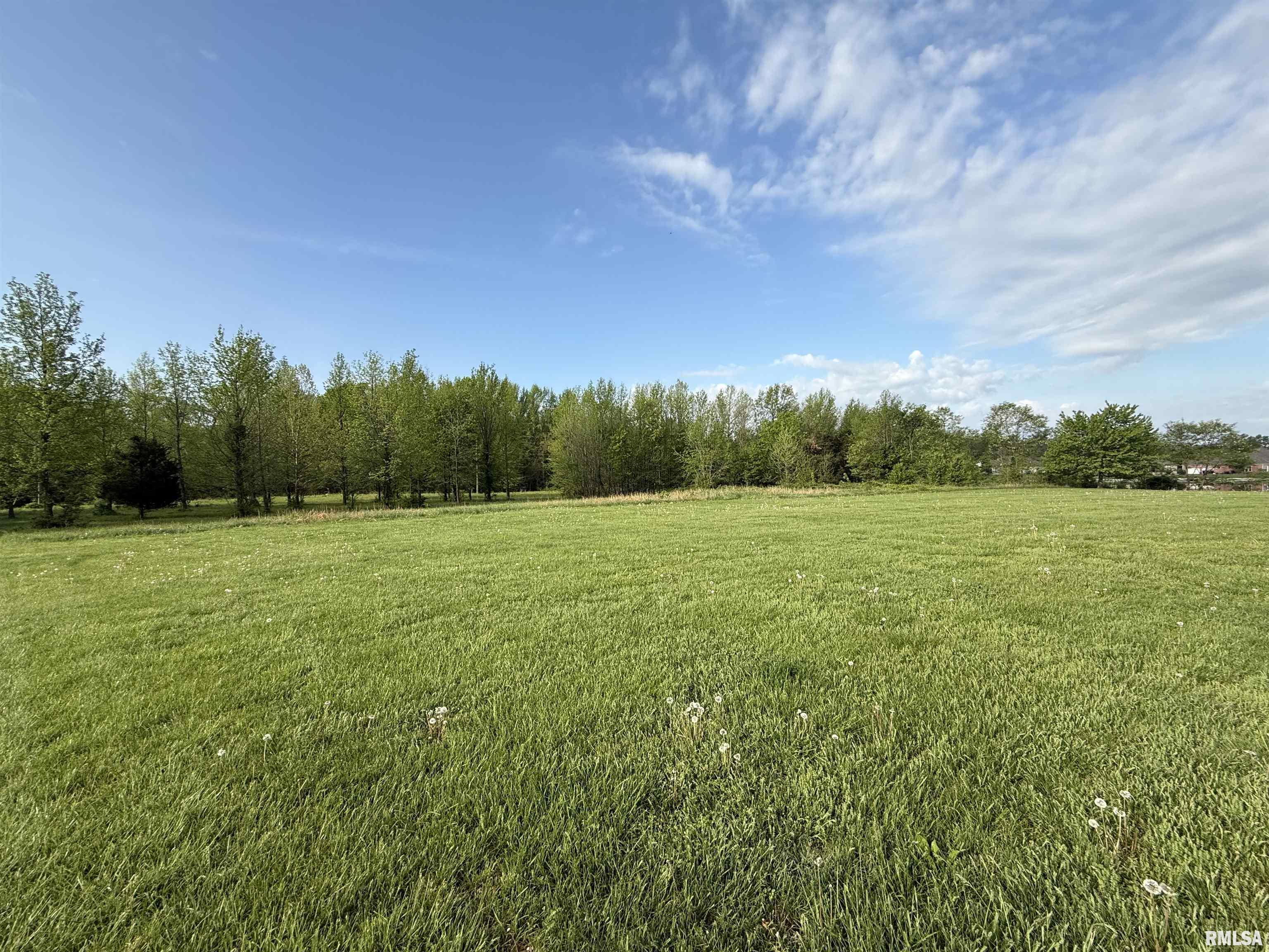 0 South Eugene Lane Marion, IL 62959 - Photo 2 of 4