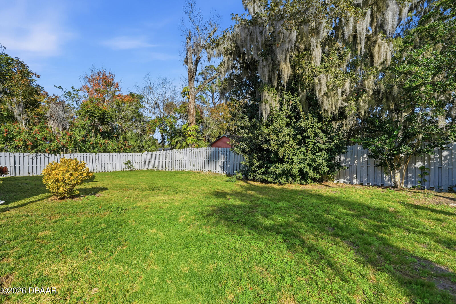 550 Locust Street Port Orange, FL 32127 - Photo 31 of 37 a view of yard with trees
