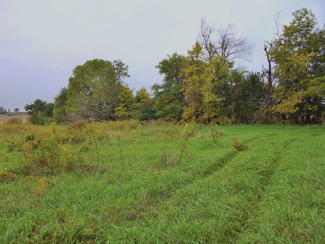 25440 South Chicago Road Elwood, IL 60421 - Photo 8 of 16
