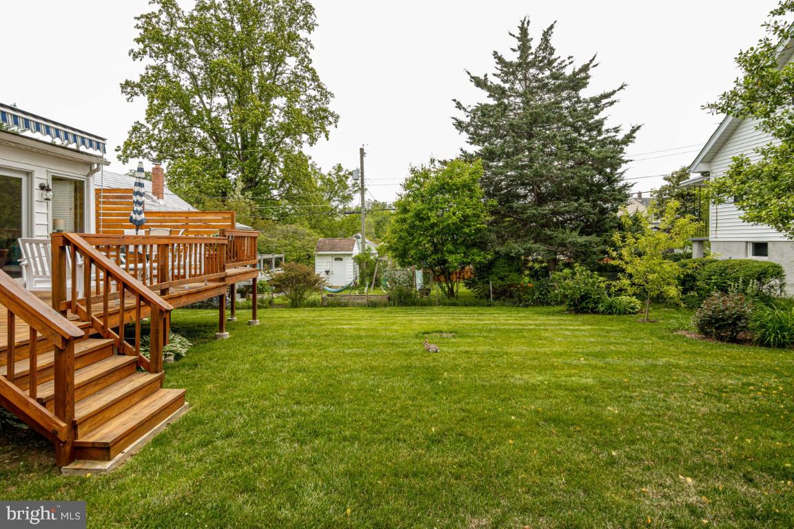 6402 Sharon Road Baltimore, MD 21239 - Photo 52 of 56 Back Yard