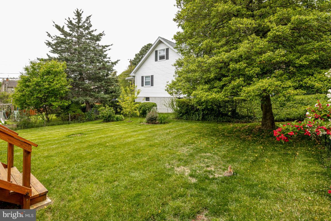 6402 Sharon Road Baltimore, MD 21239 - Photo 53 of 56 Back Yard