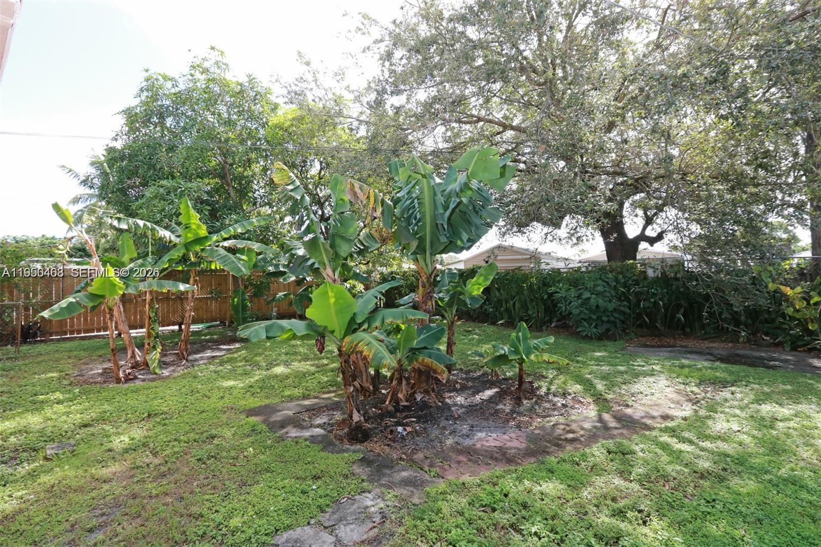 2982 Northwest 95th Street Miami, FL 33147 - Photo 30 of 30 a view of a park with large trees