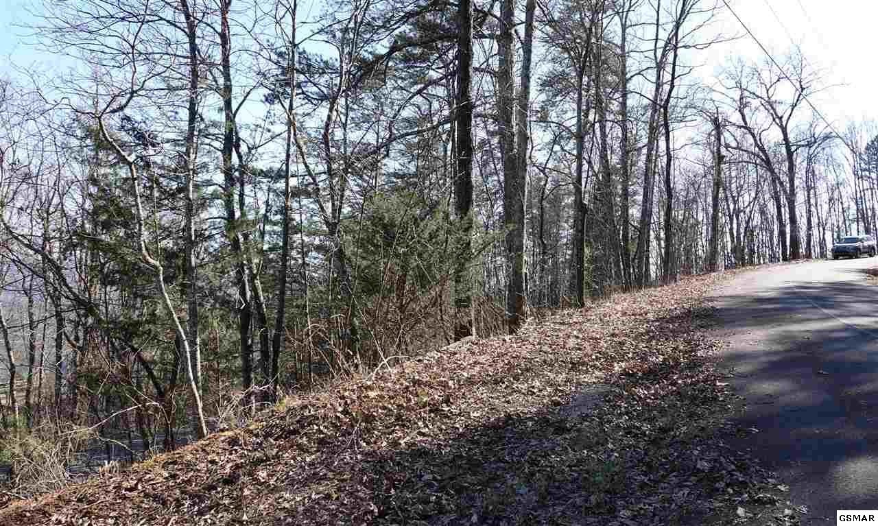 81 82a Shell Mountain Road Sevierville, TN 37876 - Photo 3 of 26