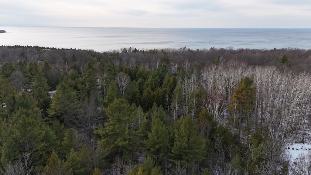 Parcel A Gibraltar Blf Road Fish Creek, WI 54212 - Photo 11 of 11