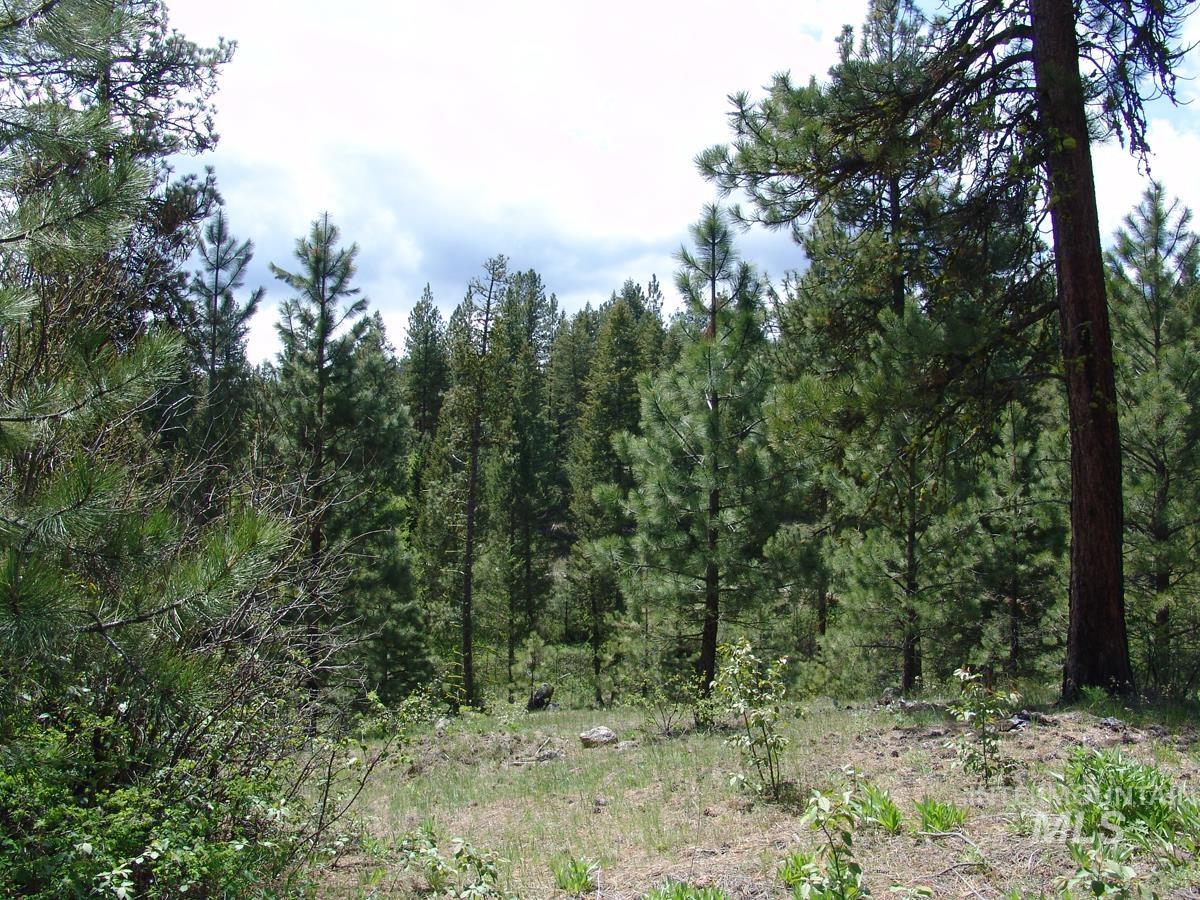 28 Rehn Loop Cascade, ID 83611 - Photo 5 of 13