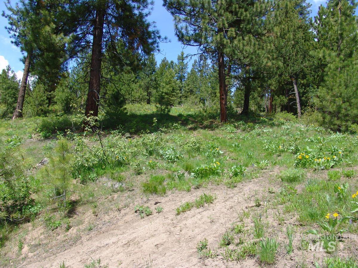 28 Rehn Loop Cascade, ID 83611 - Photo 6 of 13